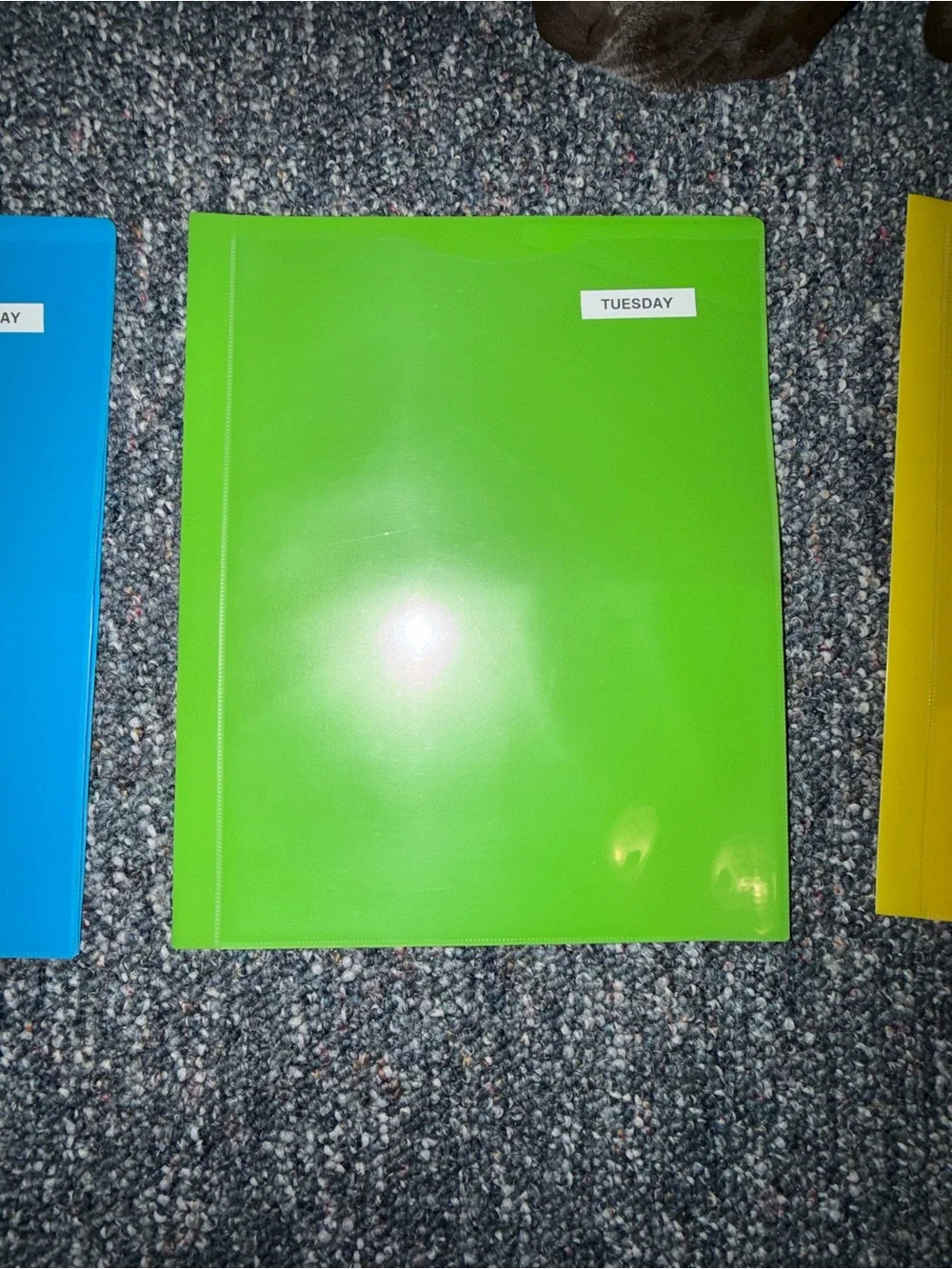 Set of 4 Colorful Plastic Binders - Orange, Blue, Green, Yellow